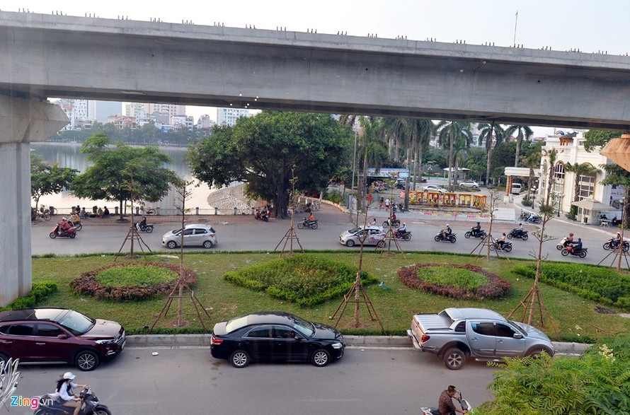Hai ngày nay, người dân sinh sống tại tuyến phố Yên Lãng, Hoàng Cầu (quận Đống Đa, Hà Nội) bất ngờ với việc đơn vị thi công tiến hành trồng những cây “lạ” ở dải phân cách giữa đường. 