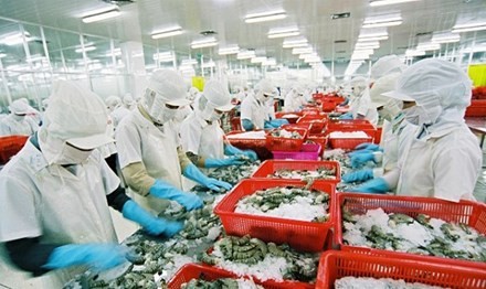 EU cảnh báo thuỷ sản Việt Nam nhiễm kim loại nặng