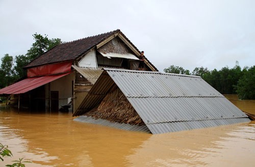 Nghìn người ở Hà Tĩnh chui mái nhà chờ nước rút