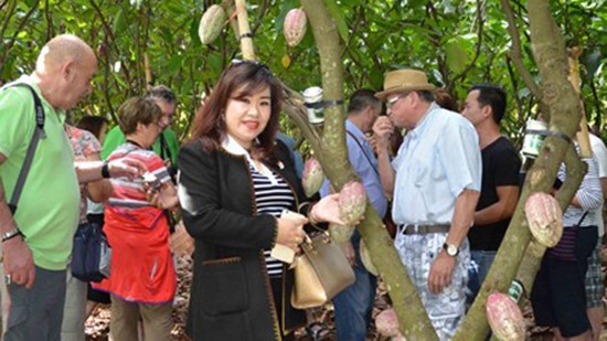 Du khách ăn thử trái ca cao chín trong vườn ca cao ở đường Y Ngông