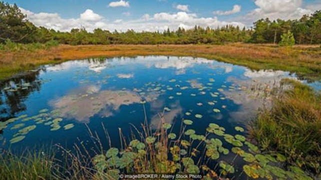 Những đầm lầy chứa xác chết có niên đại 2.000 năm về trước này được tìm thấy nằm dọc các nước bắc Âu, từ Ireland tới Phần Lan. Ảnh: Alamy.