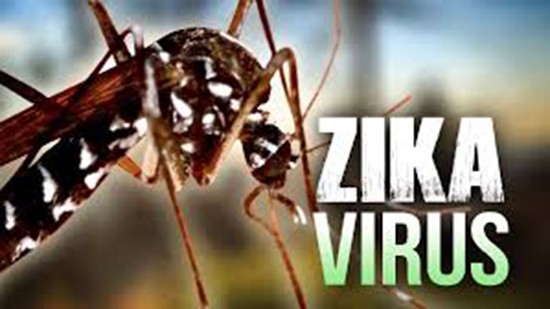 TPHCM phát hiện thêm 12 ca nhiễm Zika