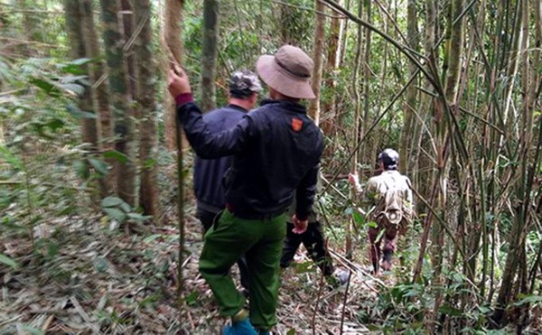 Lực lượng cứu hộ huyện Di Linh lục tung cánh rừng để tìm kiếm anh Lộc. Ảnh: Khánh Hương