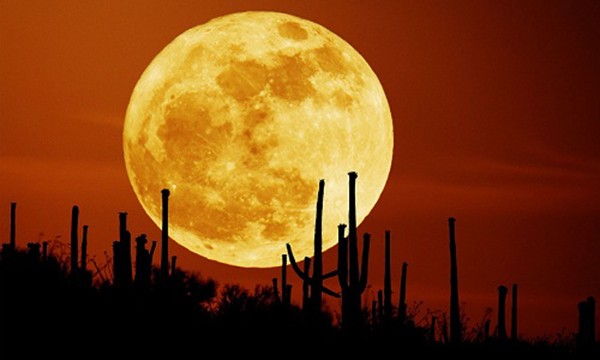 Siêu trăng lớn nhất thế kỷ sẽ chiếu sáng bầu trời Việt Nam hôm 14/11. Ảnh minh họa: Wordpress.