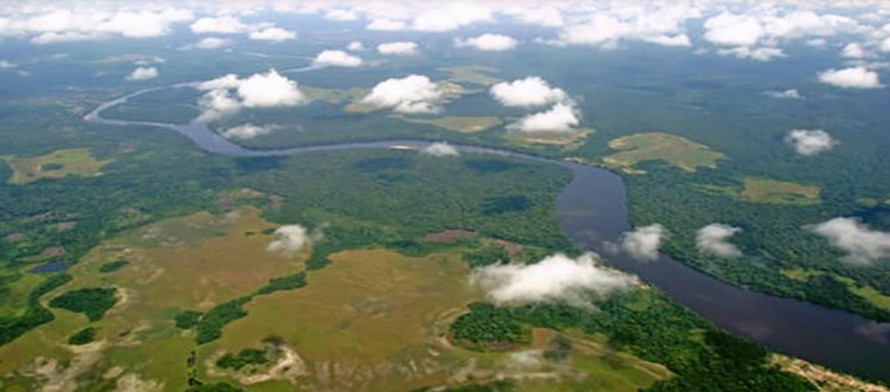 Congo: Vườn quốc gia Salonga được đưa ra khỏi Danh sách Di sản Thế giới đang bị đe dọa