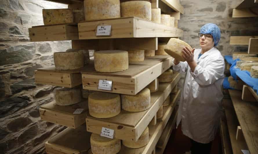 Blue Cheese được chế biến tại một cửa hàng sữa ở Castle Douglas, Scotland. Ảnh: Murdo MacLeod