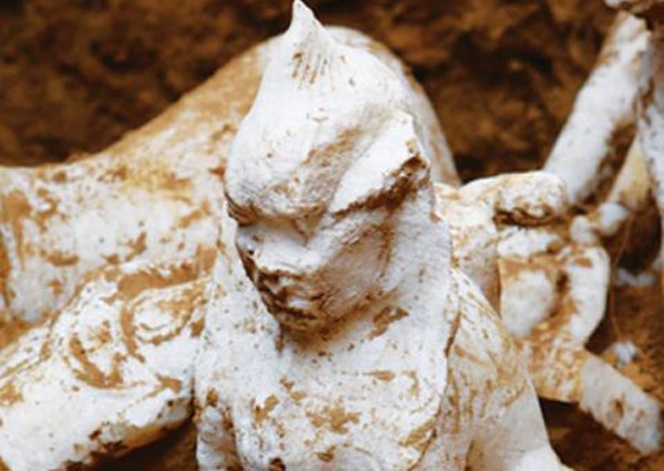 Tượng nhân sư cực quý được tìm thấy ở Tây Bắc Trung Quốc