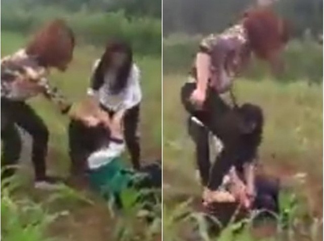 Nữ sinh bị đánh hội đồng giữa đồng ngô khiến dân mạng xôn xao
