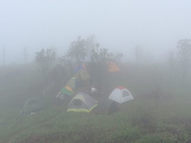 Trekking núi Chứa Chan ngày sương mù
