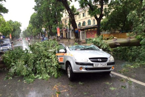 Bão số 1 càn quét ở Hà Nội, cây cối đổ la liệt