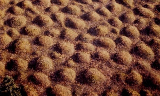 Những gò đất bí ẩn mọc san sát ở thảo nguyên nước Mỹ