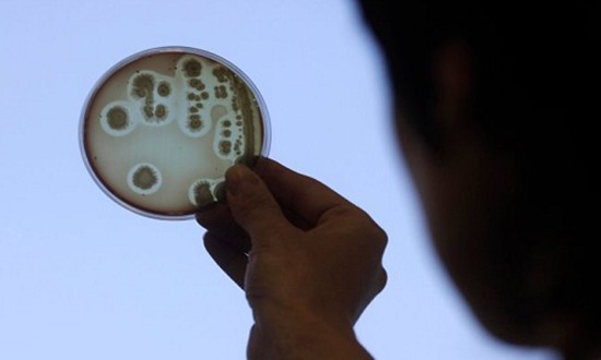 Thảm họa khi vi khuẩn biến mất khỏi Trái Đất
