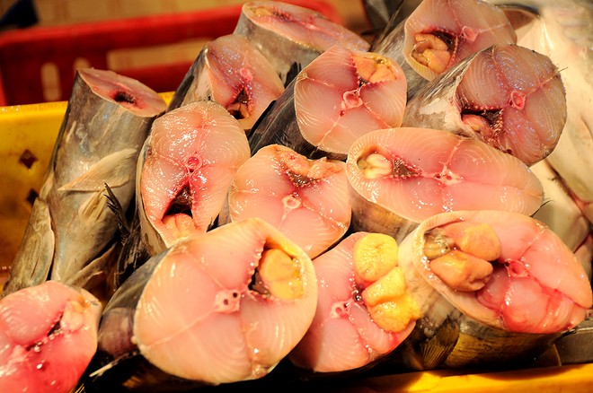 Chợ cá tươi rói ở Sài Gòn chỉ bán vào ban đêm