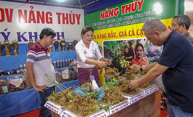 Mua bán sâm Ngọc Linh tại phiên chợ sâm Ngọc Linh. Ảnh: Namtramy.gov.vn