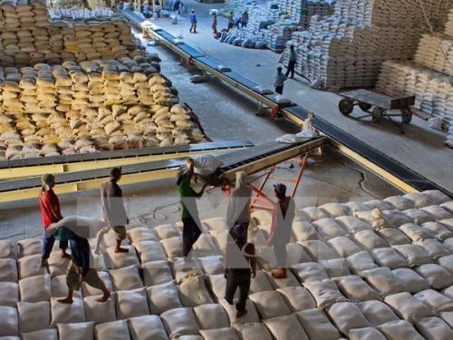 Nhiều cơ hội xuất khẩu gạo vào thị trường Mexico. Ảnh minh hoạ: TTXVN