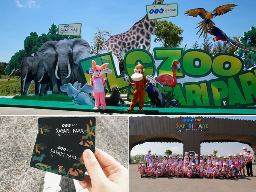 FLC Zoo Safari Park Quy Nhơn - Điểm đến không thể bỏ lỡ trong hành trình khám phá 'xứ Nẫu'