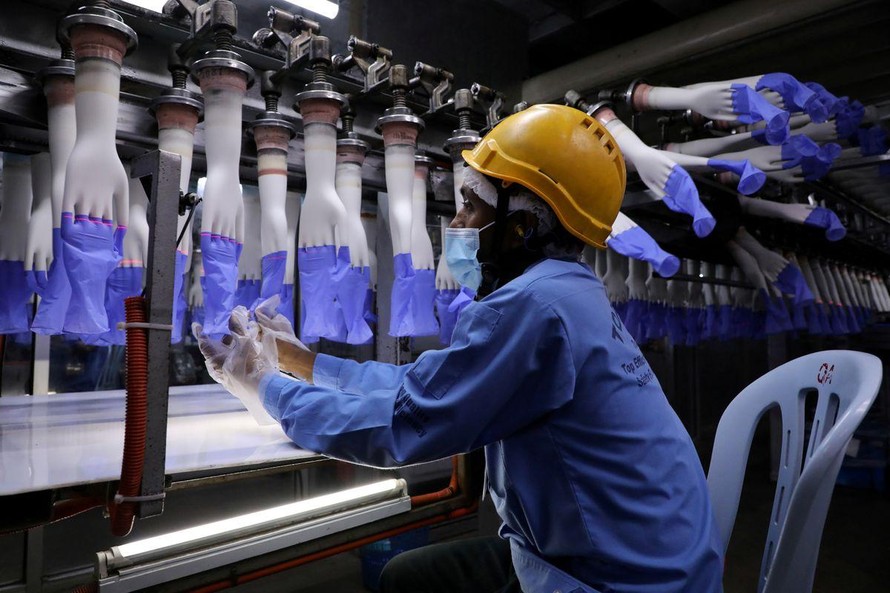 Công nhân kiểm tra găng tay tại nhà máy Top Glove ở Shah Alam, Malaysia. Ảnh: Reuters