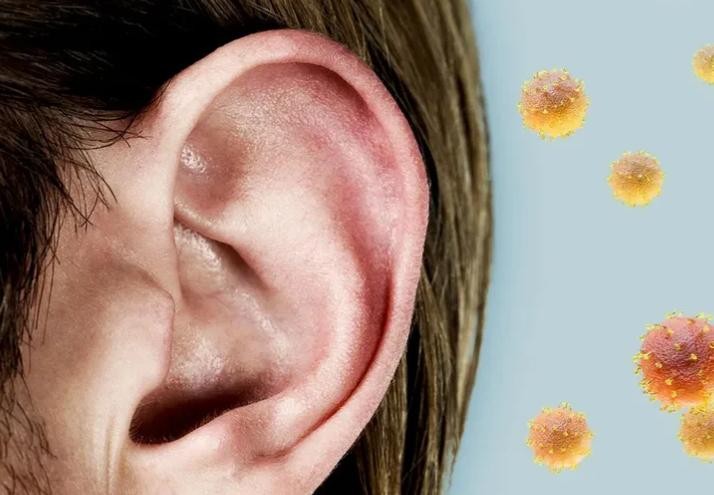 Các nhà khoa học hiện đã hiểu tại sao một số bệnh nhân COVID-19 báo cáo các vấn đề về cân bằng và thính giác.