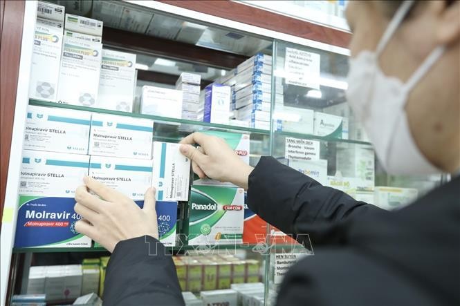 Sau khi có hướng dẫn bán thuốc từ Bộ Y tế, hệ thống nhà thuốc FPT Long Châu đã chính thức mở bán thuốc kháng virus điều trị COVID-19 có thành phần hoạt chất chứa Molnupiravir. Ảnh: Minh Quyết/TTXVN