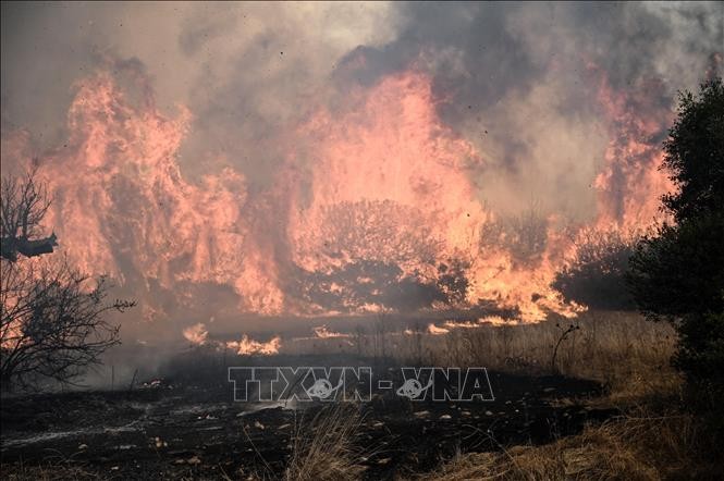 Khói lửa bốc lên ngùn ngụt từ đám cháy rừng tại Dikella, gần Alexandroupoli, Hy Lạp, ngày 23/8/2023. Ảnh: AFP/TTXVN 