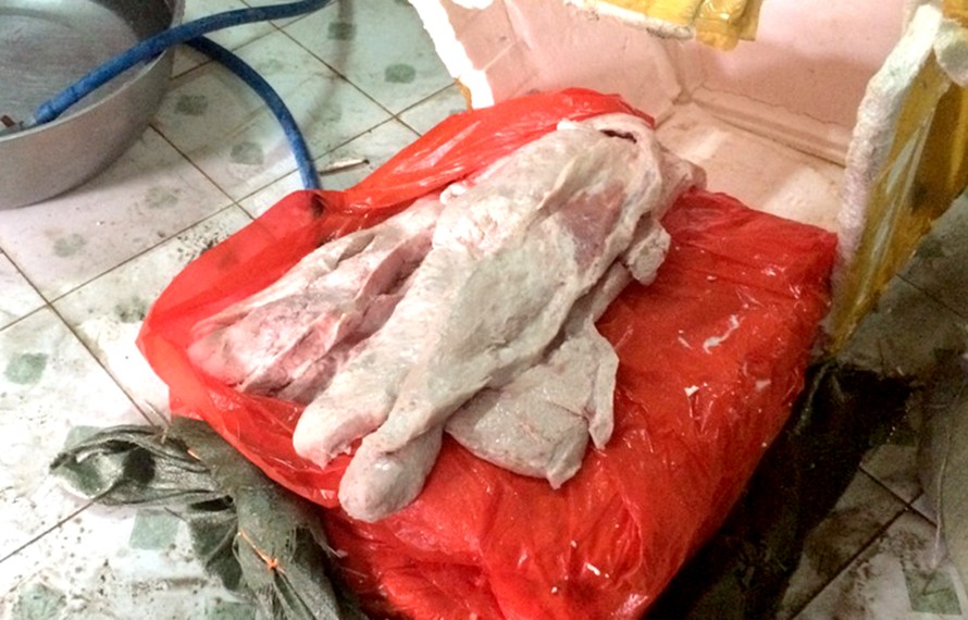 Bắt giữ hơn 2 tấn nầm lợn thối chuẩn bị lọt vào thị trường TP.HCM