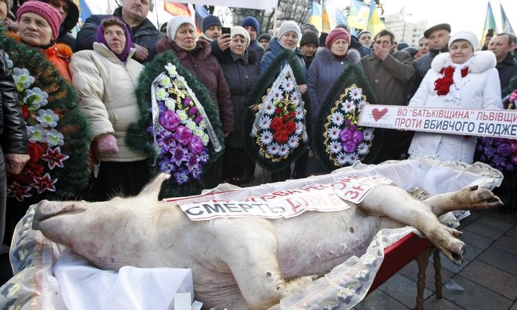 Xem người biểu tình Ukraine tổ chức tang lễ cho lợn
