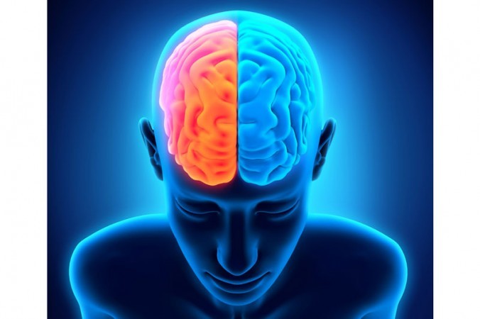 Có gì khác biệt trong não phải và não trái của con người?