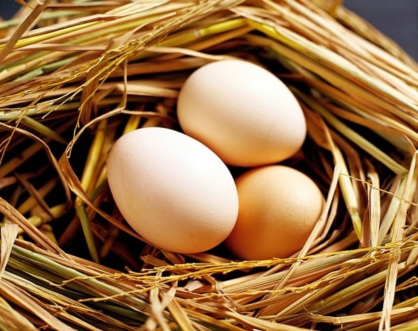  11 thực phẩm tuyệt đối KHÔNG kết hợp với trứng vì cực hại sức khoẻ