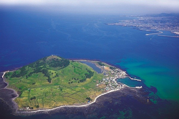 Hàn Quốc truy tìm 32 du khách Việt bỏ trốn trên đảo Jeju
