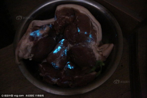 Kinh hãi thịt lợn phát ánh sáng xanh tại Trung Quốc