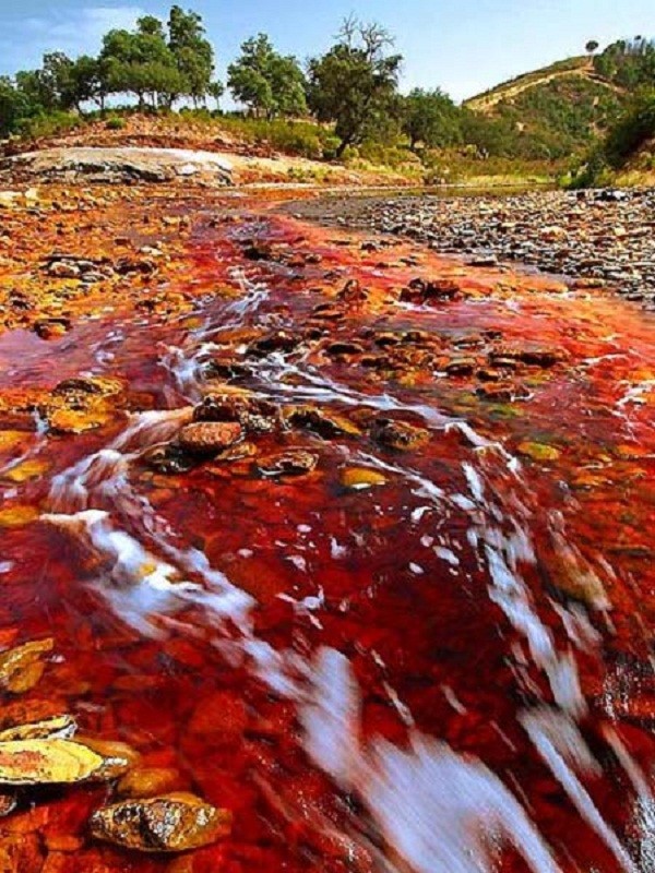 Lạ lùng dòng sông đỏ như máu ở Tây Ban Nha