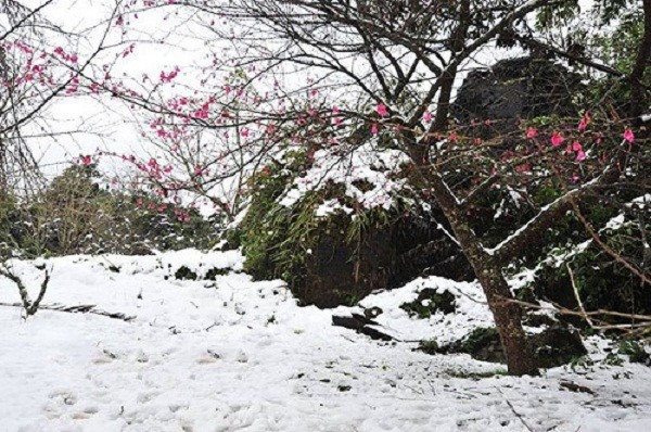 Thời tiết ngày 23/1: Bắc Bộ rét đậm, rét hại, miền núi có tuyết