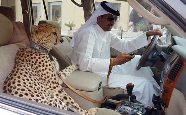 Những điều ‘điên rồ’ về sự giàu có khủng khiếp ở Dubai