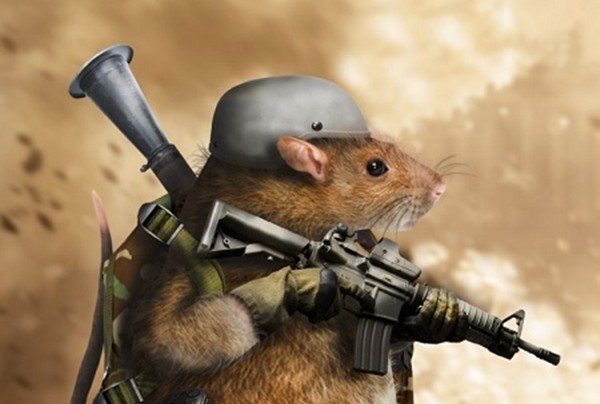 Nga dùng 'chiến binh chuột' thay người tấn công IS