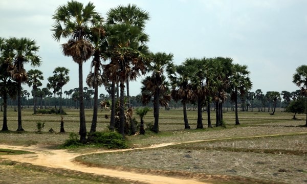 Một bộ đội VN chiến đấu tại Campuchia trở về sau 35 năm lưu lạc