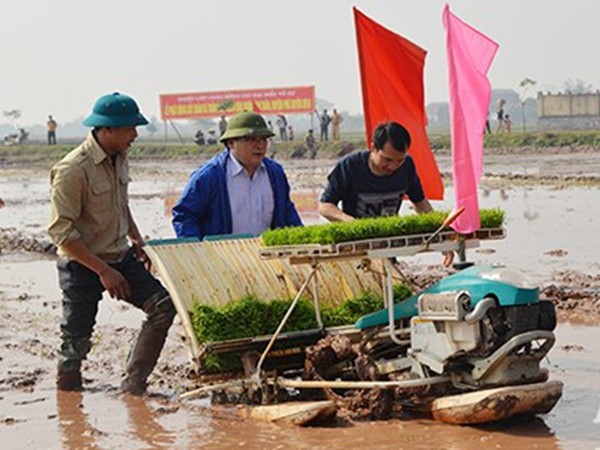 Bí thư, Chủ tịch Hà Nội cấy lúa, lội ruộng cùng nông dân