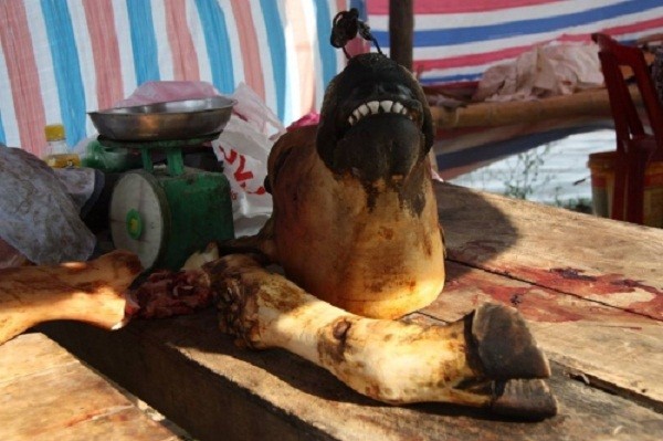 Chợ Viềng: Đầu bê trưng đầy, thịt bê đắt đỏ