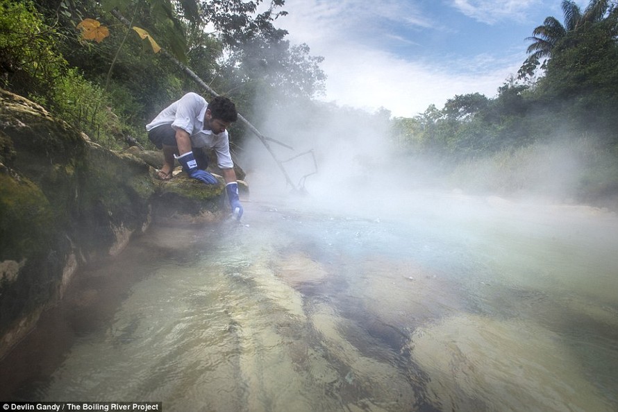 Kỳ lạ dòng sông quanh năm sôi sục giữa rừng Amazon