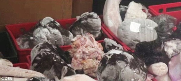 Thu giữ hàng tấn thịt đông lạnh 35 năm sắp ‘tung ra’ thị trường