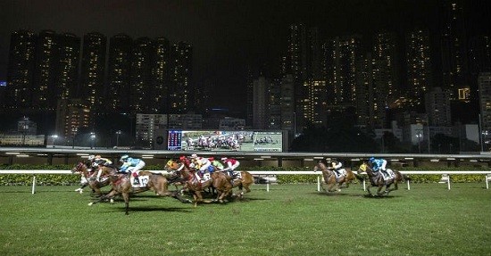 Khám phá ngành kinh doanh đua ngựa tỷ đô ở Hong Kong