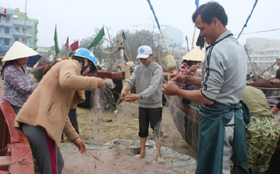 Ngư dân Sầm Sơn đã được để lại 3 bến neo đậu