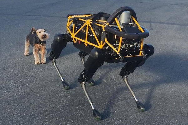 [VIDEO] Chó robot của Google 'đối đầu' với chó thật