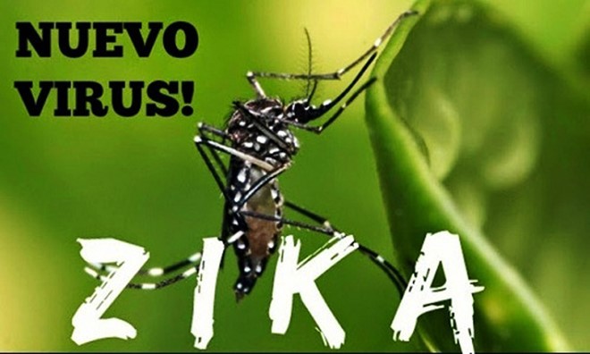 Bộ Y tế khẳng định đến 30/3 Việt Nam chưa có ca nhiễm virus Zika