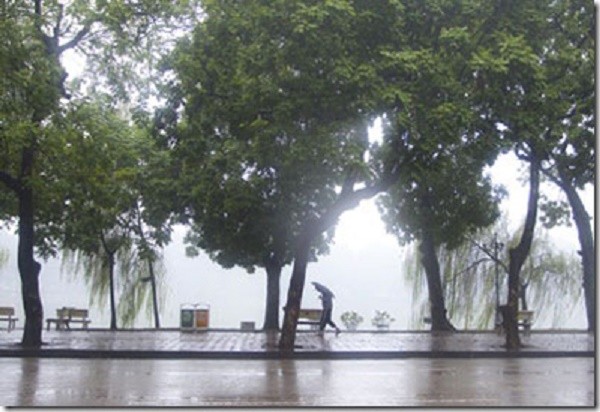 Dự báo thời tiết 31/3: Hà Nội mưa phùn, nồm ẩm