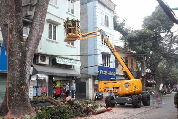 Hà Nội: Nhập máy, mời chuyên gia Singapore phục vụ cắt tỉa cây