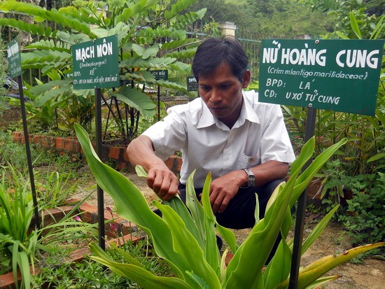 Người Việt Nam vẫn đang ‘chết trên đống thuốc’