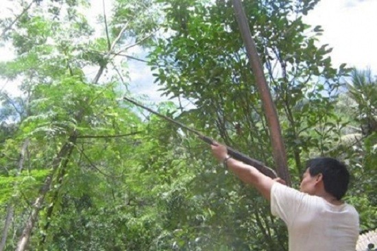 Hà Nội: Tử vong do trúng đạn tự chế lúc đi săn