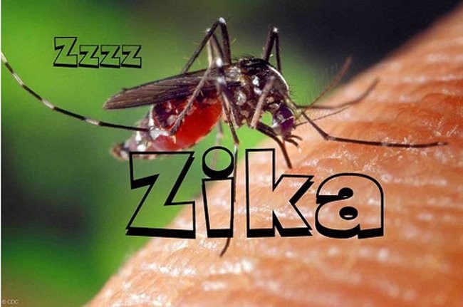 Phải làm gì khi phát hiện dương tính với Virus Zika?