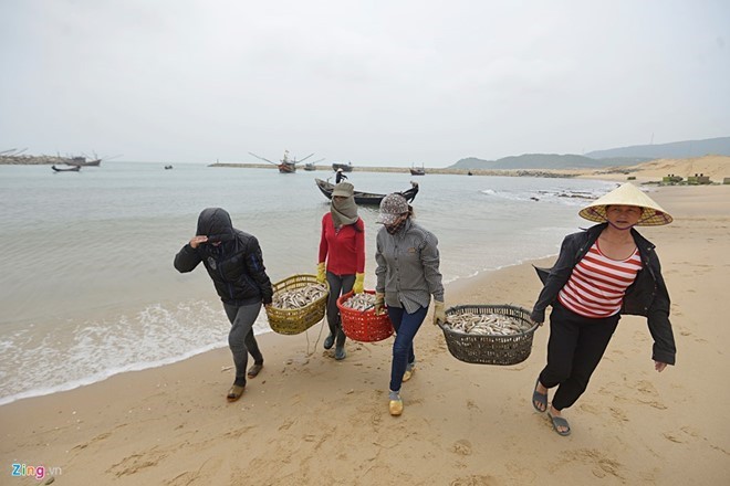 Nước biển 4 tỉnh miền Trung đạt chuẩn, hải sản an toàn