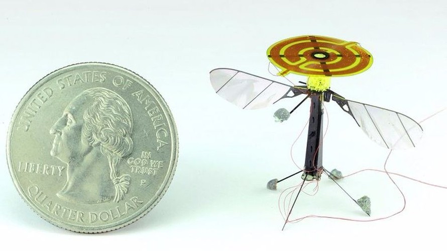 Robot do thám nhỏ nhất thế giới